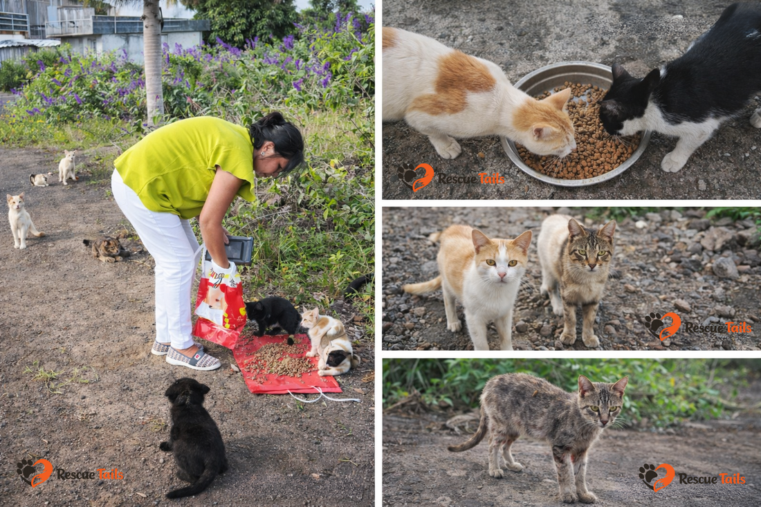 Why We Send Monthly Photos