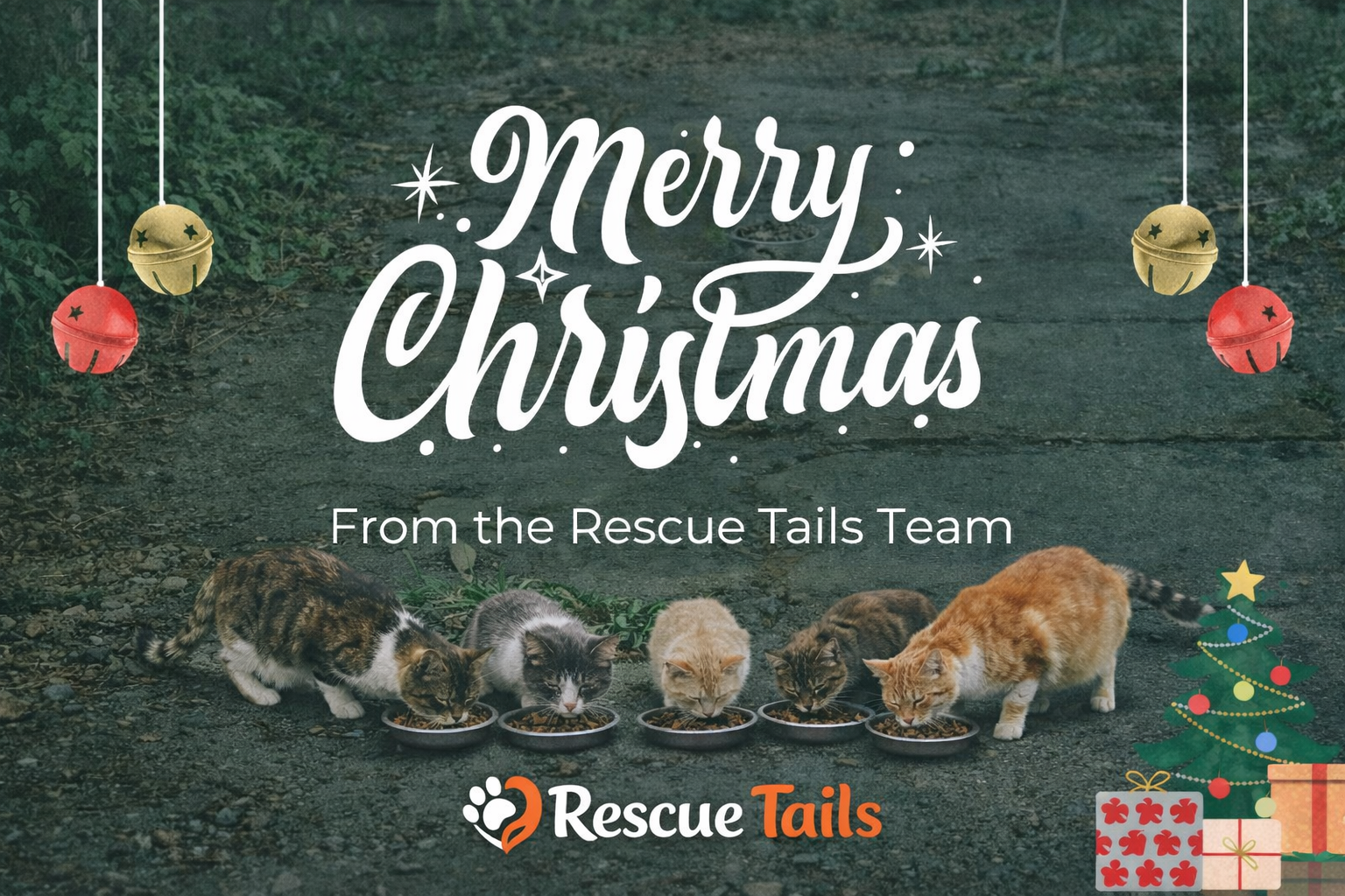 Merry Christmas from the Rescue Tails Team