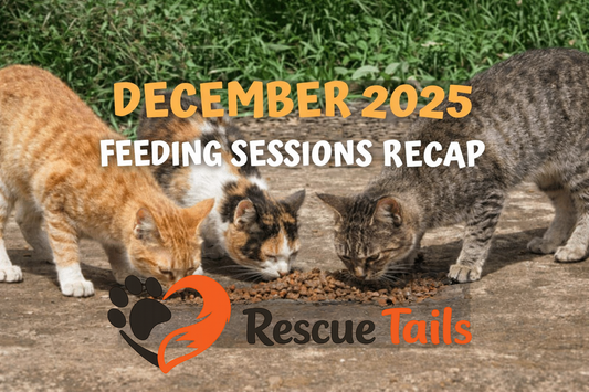 December 2025: Our Biggest Month Yet