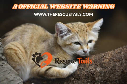 How to Spot Fake Rescue Tails Websites