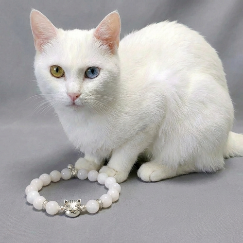 Custom White Cat Bracelet