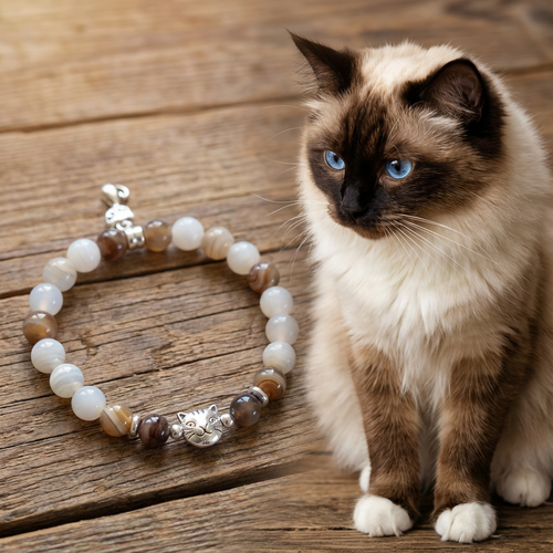 Custom Chocolate Ragdoll Cat Bracelet