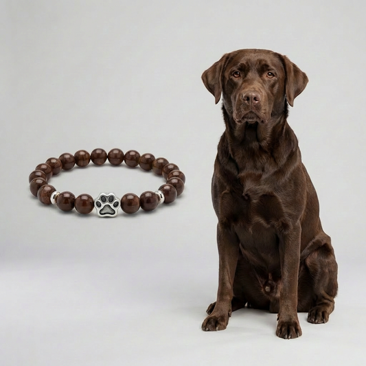 Custom Labrador Retriever (Chocolate) Bracelet
