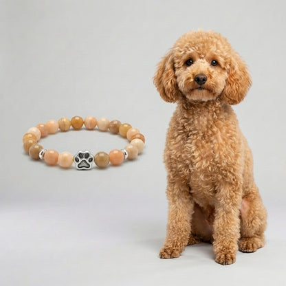 Custom Poodle (Apricot) Bracelet